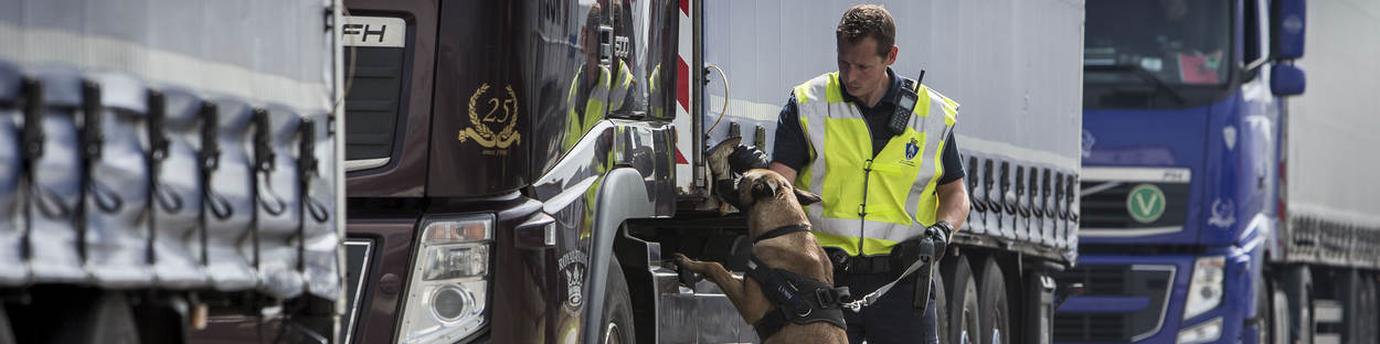 Migration control dogs and guard inspect a heavy goods vehicle.