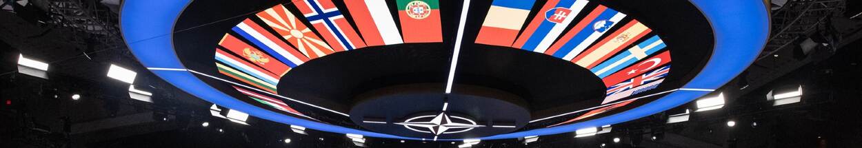 Ceiling meeting room NATO. With NATO logo and flags of countries.