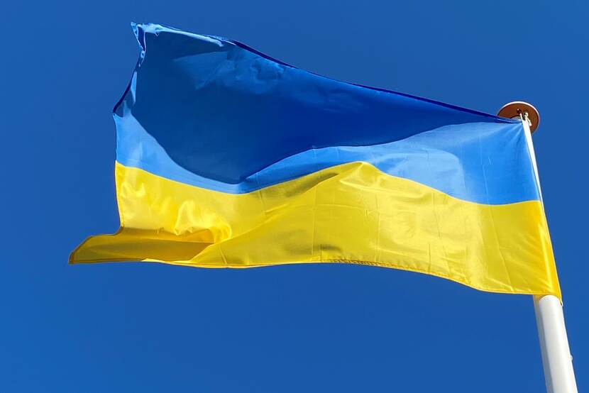 Ukrainian flag