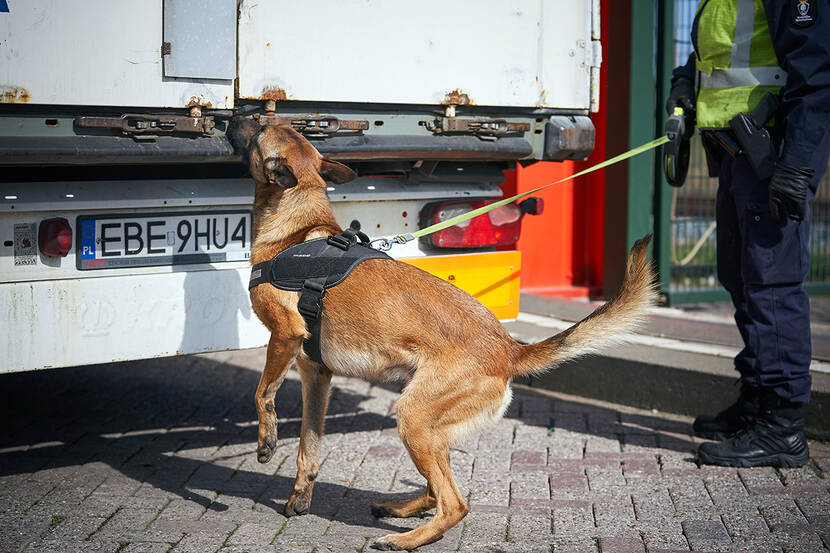 A marechaussee checks a truck with a dog.