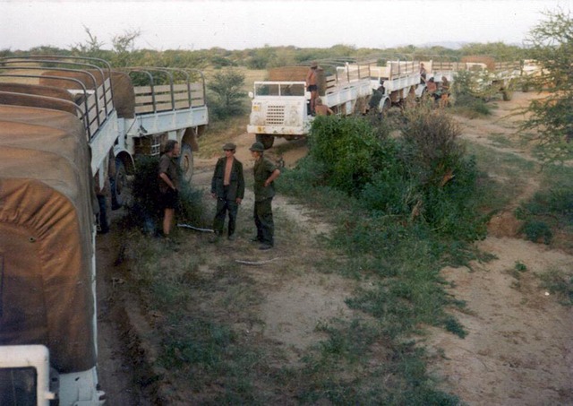 The 'white wagons' in convoy on their way to Umm Keddada.